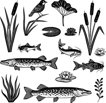 Large vintage monochrome collection of northern pike, catfish, pond plants and bird in linocut engraving style