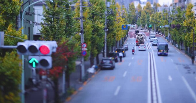A cityscape of miniature traffic jam at the yellow gingko street in Tokyo