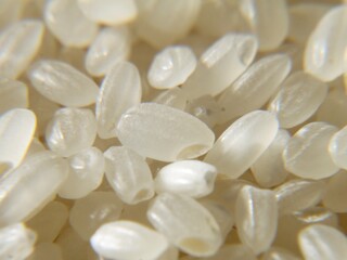 日本のブランド米、秋にとれた新米です