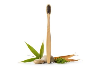 Bamboo toothbrush with green leaves for natural oral care white background