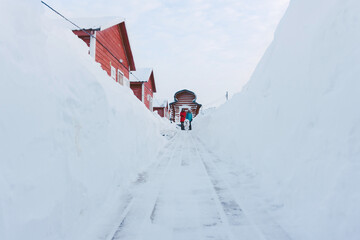 a large happy dog runs along the wooden floor between snow drifts to its owner on a frosty day