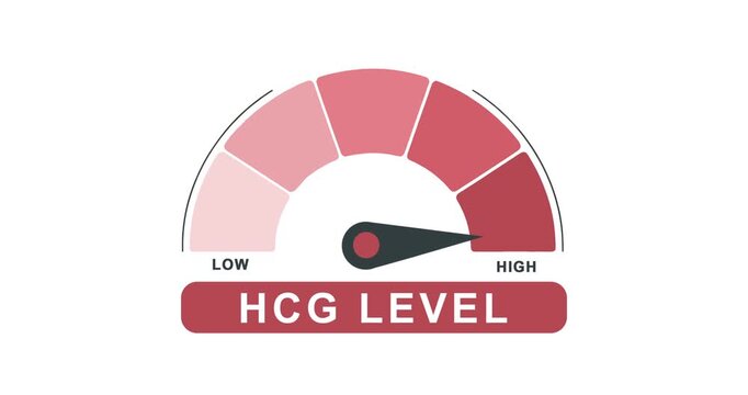 Animated HCG hormone level meter gauge showing low to high measurement indicator for pregnancy testing, fertility treatment and early pregnancy detection