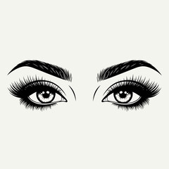 Beautiful Female Eyes Illustration &ndash; Eyebrows Eyelashes Makeup Line Art