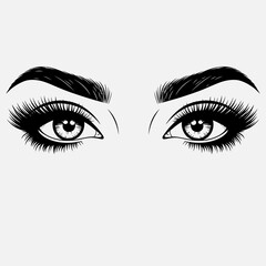 Beautiful Female Eyes Illustration &ndash; Eyebrows Eyelashes Makeup Line Art
