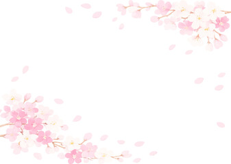 桜の花と花びらが舞うフレーム　ベクターイラスト素材