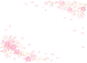 桜の花と花びらが舞うフレーム　イラスト素材