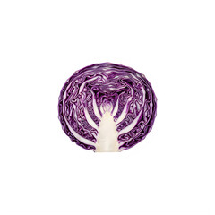 Fototapeta premium Abstract artistic design featuring a stylized purple floral pattern within a circle