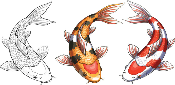 Traditional Japanese Koi Fish Vector Illustration Set Featuring Orange Carp in Irezumi Style with Pink Lotus Flowers Sea Waves and Black Line Art Stencils
