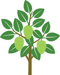 Soursop tree logo. Isolated soursop tree on white background