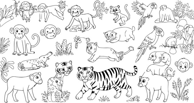 Cute Cartoon Jungle Animals Black and White Outline Drawing for Kids Coloring Book Page, Tropical Wildlife Illustration Set