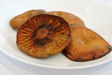 Fried saffron milk caps mushrooms on a white plate