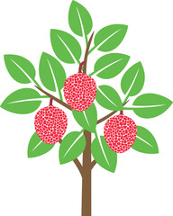 Lychee tree logo. Isolated lychee tree on white background