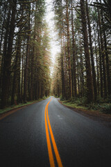 Obraz premium Olympic National Park, Washington, USA