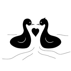 Black Swan Pair with Heart - Minimalist Love Illustration