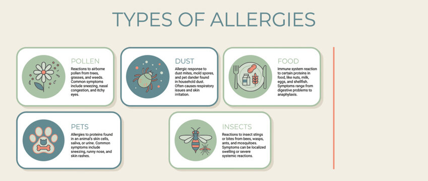 Types of Allergies Overview infographic featuring pollen, dust, food  