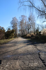 Fototapeta premium road, nature, landscape, sky, trees, forest, country, green, path, rural, summer, highway, park, grass