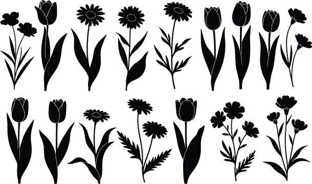 Large collection of black vector silhouettes of spring flowers including tulips daisies and wildflowers for garden and nature design projects