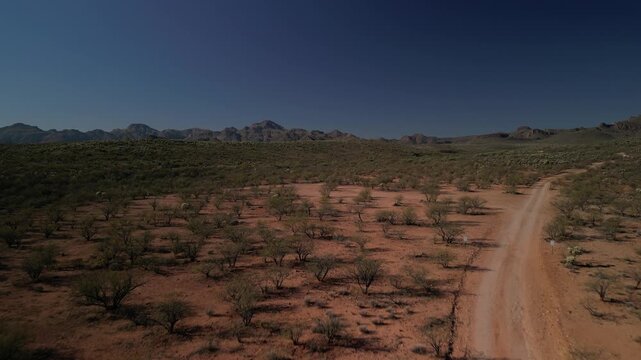 Tucson Arizona aerial of Coronado National Forest with cholla cactus