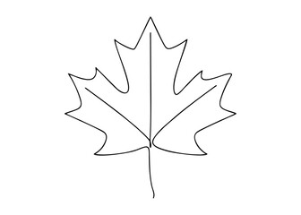 Obraz premium A lone maple leaf illustration drawn with simple black lines on a plain white background viewed from directly above