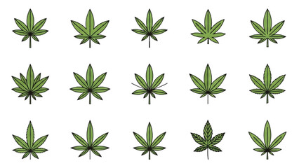 Collection of cannabis leaves arranged in a grid pattern on a white background viewed from directly above