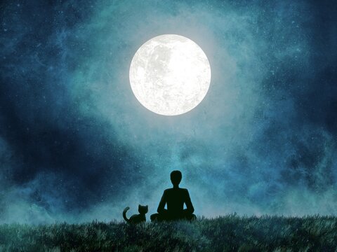 A man is meditating in a field under the full moon, with his beloved cat sitting beside him.