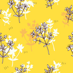 Obraz premium Seamless pattern of Hypericum or St. John’s wort