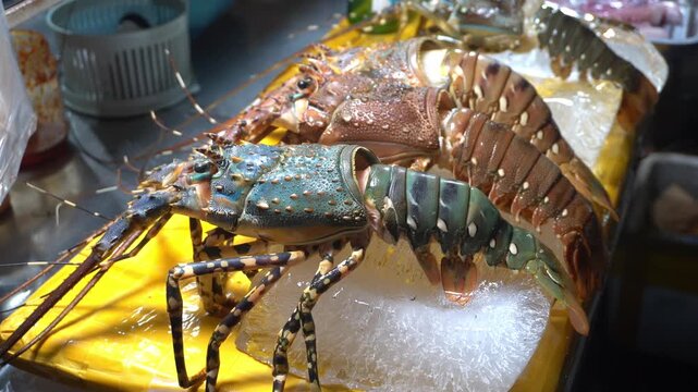 Traditional daily life in Vietnam in Hoi An -lobster shellfish  fruit and vegetable market, street food stalls, Asian specialties - Vietnamese culinary tradition 