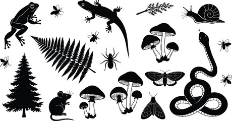 Forest ecosystem silhouette illustration set, multiple black icons animals insects plants mushrooms biodiversity design, vector artwork, nature and environment theme, isolated background © MDRAKIBUL
