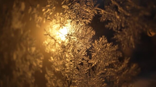 Golden frosty window with sun shining through icy patterns