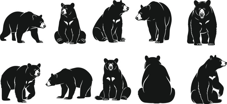 Set of black silhouettes featuring various poses of American black bears including sitting, standing, walking, and rear view, isolated on white background for design.