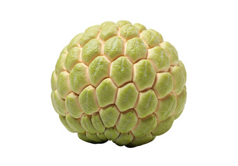 Obraz premium A single sugar apple fruit with a green scaly surface on a white background. isolated on transparent background