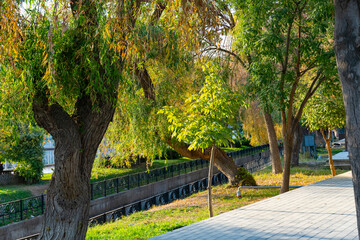 Obraz premium Urban Park with Trimmed Hedges and Shaped Trees