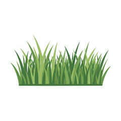 Green Grass Border Illustration