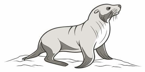 A detailed illustration of a sea lion standing on a rocky beach © Mamun