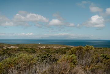 Obraz premium Cape of Good Hope, South Africa