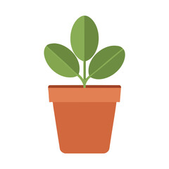 Potted Green Plant Illustration