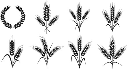 Wheat ear and grain icon set with cereal crop bundles and laurel wreath isolated black vector illustration © Rubya