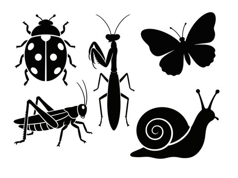 Various Animal Silhouettes Including Insects and Snail Together in Vector Illustration