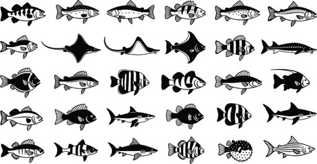 Large collection of black fish silhouettes featuring various species including shark stingray pufferfish tropical reef fish and trout isolated on white background for marine design. © Itz  Parvin