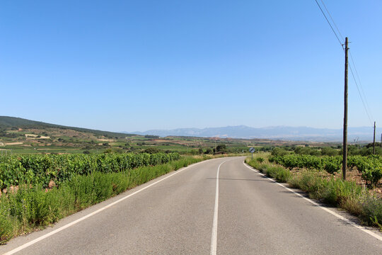Vineyard stretching across the landscape after Navarrete in La Rioja Spain summer sky July 2024