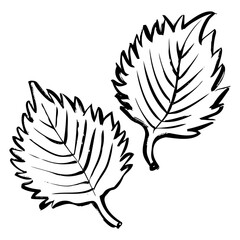 しその線画イラスト