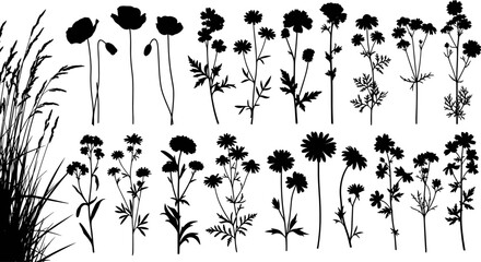 Naklejka premium Wildflower silhouette collection, blooming meadow floral vector set, botanical garden plant graphics, isolated black blossom icons, decorative nature floral elements.
