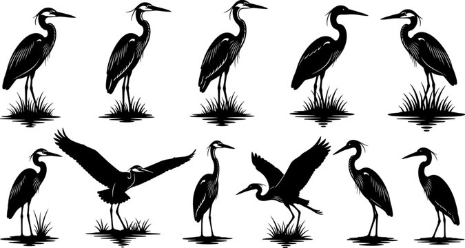 Heron bird silhouette collection, wild crane standing vector set, wetland wildlife flying graphics, isolated black lake bird icons, nature wading bird elements.