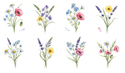 Small Wildflower Watercolor Bouquet Collection Minimal Botanical Elements on White Background
