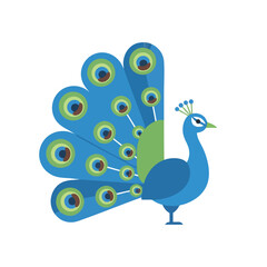Vibrant Peacock Illustration with Blue Feathers