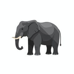 Obraz premium Gray Elephant Illustration