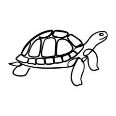 Dibujo con línea continua de una tortuga galápago  © teracreonte