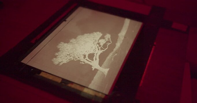 Professional photo printing in darkroom with enlarger focus calibration and image composition adjustment. Classic photographic printing technique