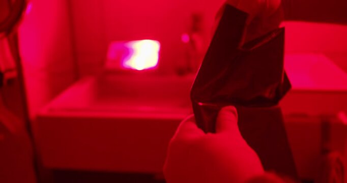 Darkroom worker removing photographic paper from light-tight packaging under safelight. Analog photo printing preparation process