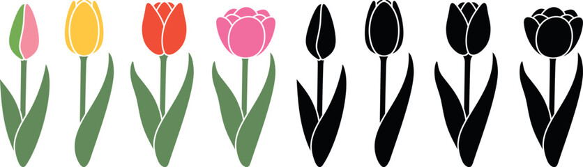 Tulip logo. Isolated tulip on white background. Flower